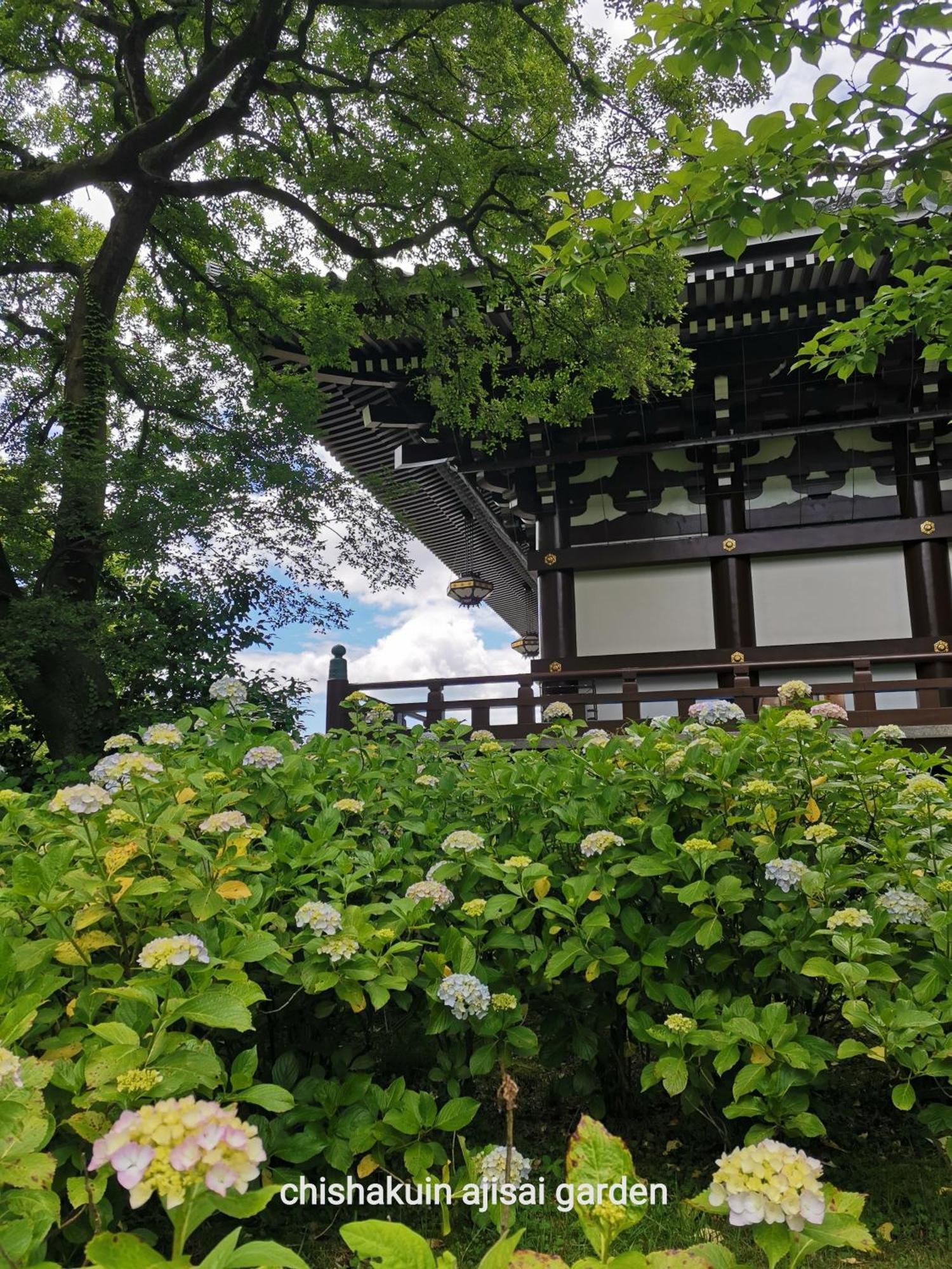 Walker House Kyoto 65 Square Meters Whole Villa Rent Exterior photo