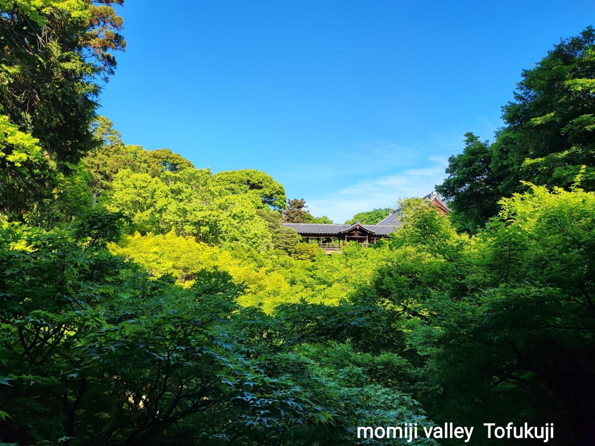 Walker House Kyoto 65 Square Meters Whole Villa Rent Exterior photo
