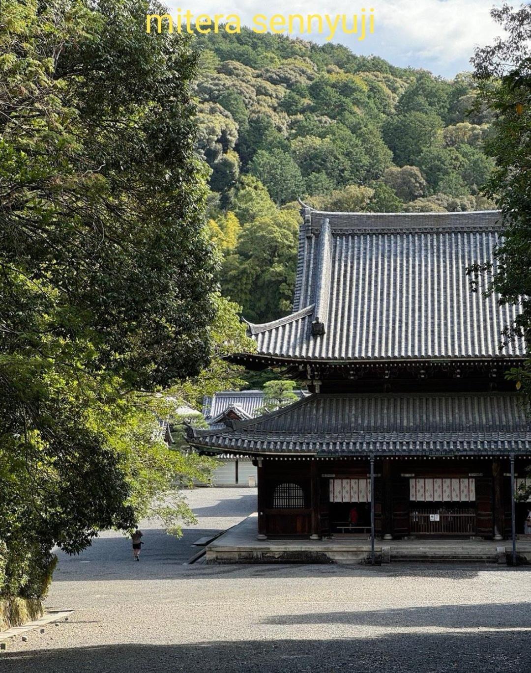Walker House Kyoto 65 Square Meters Whole Villa Rent Exterior photo